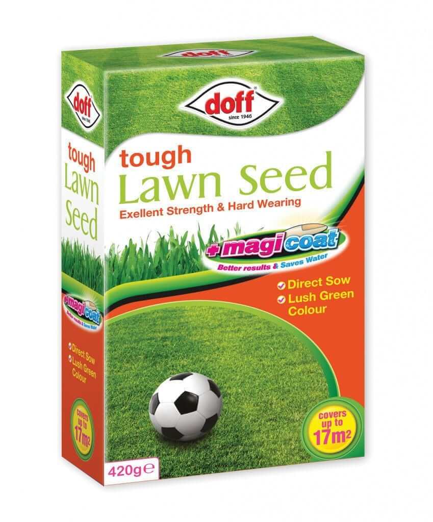 Grass seed