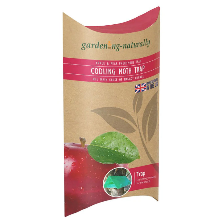Codling Moth Trap by gardening naturally