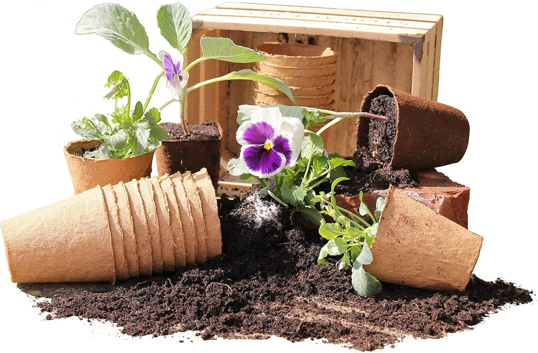 Wood Fibre Plant Pots, 8cm round, pack of 48