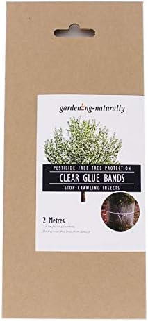 Clear Glue Bands 2 x 1m bands