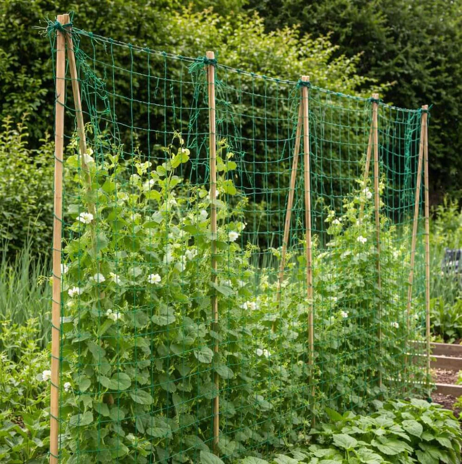 Jute Pea and Bean Netting 1.8 x 1.8m