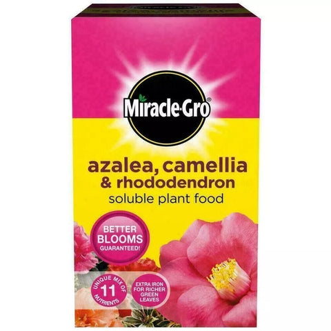 Miracle Gro Azalea, Camellia and Rhododendron Food 500g