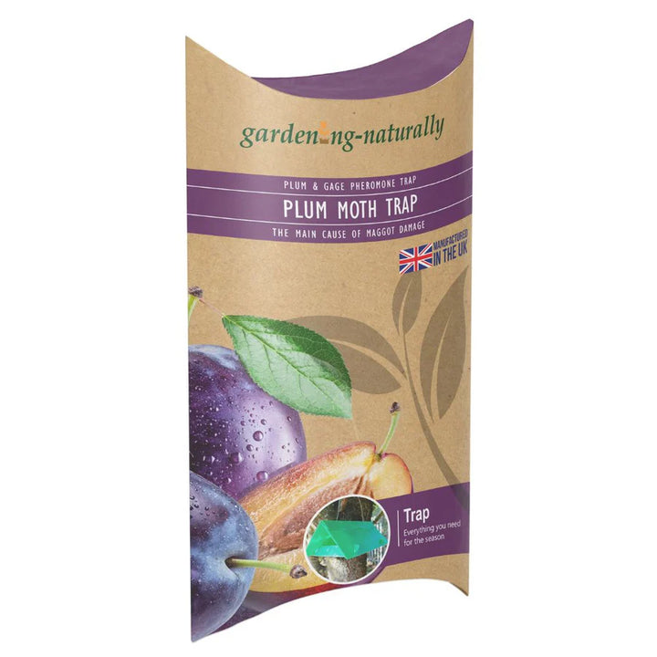 Plum Moth Trap, pheremone insect trap