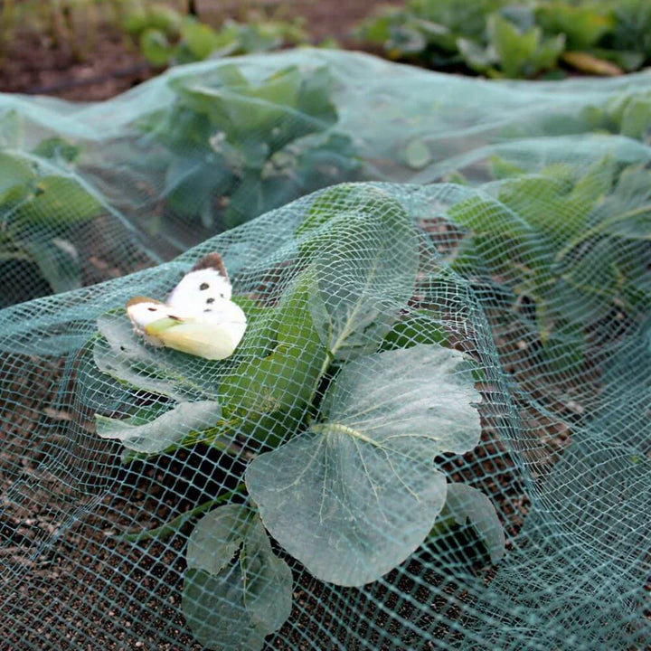 Bird and Butterfly Netting 2m x 5m