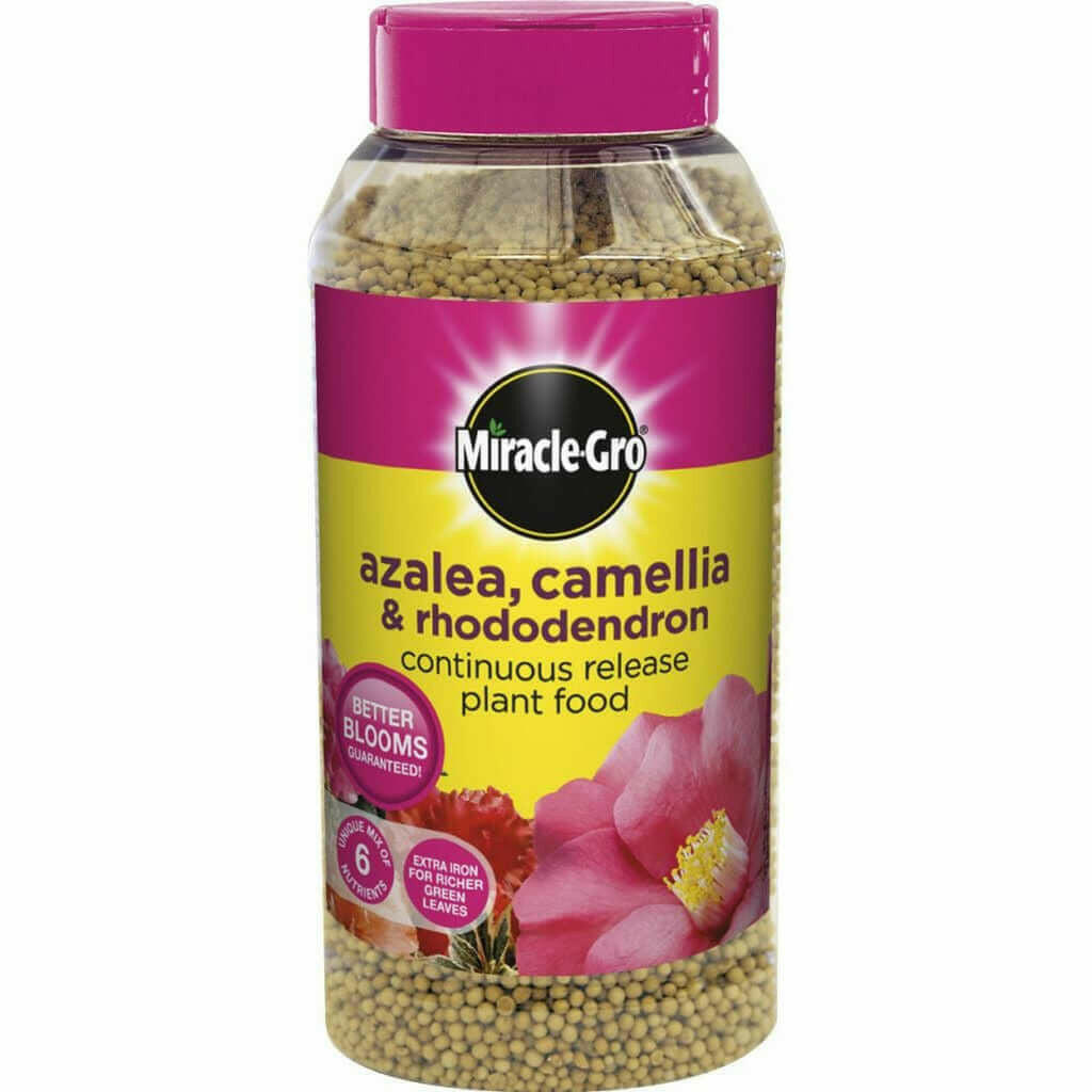 Miracle-Gro Azalea, Camellia & Rhododendron Plant Food 1kg Slow Release 6 Months.