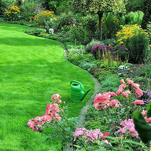 Doff Hardwearing Lawn Seed with PROCOAT 500g  from Doff 4.95