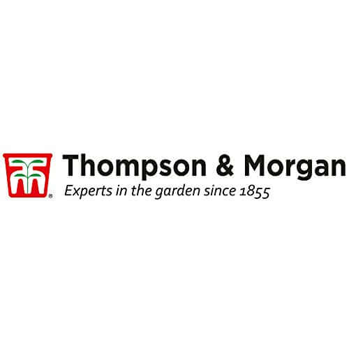 Chempak Fuchsia Feed Fully Soluble Specialist Plant Fertiliser 750g Pack  from Thompson & Morgan 6.49