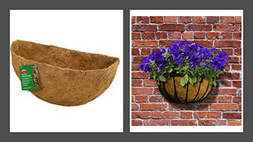 Ambassador Coco Fibre Wall Basket Liner 14'' Pack of 2 liners  from Ambassador 7.98