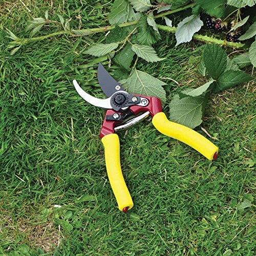 Kingfisher Pro Gold Cushion Grip Deluxe Bypass Secateurs  from Kingfisher 6.95