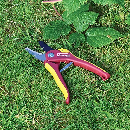Anvil Secateur 8" Kingfisher Pro Gold Deluxe  from Kingfisher 6.95