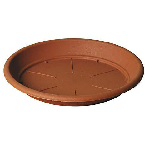 Saucers Terracotta 20cm brown plastic plant saucers  from H.G. 4.99