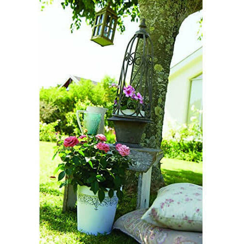 Phostrogen All Purpose Plant Food, 40 Can  from Phostrogen 4.49