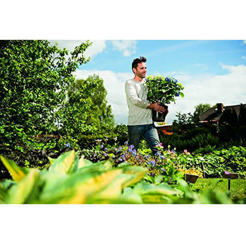 Phostrogen All Purpose Plant Food, 40 Can  from Phostrogen 4.49