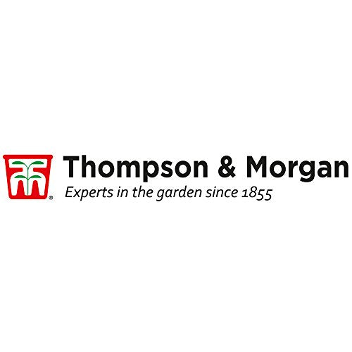 Chempak Calcium Multi Action Fertiliser Feed Prevents Disorders Boosts Crop Growth Multi Purpose for Different Plants 1 x 750g Pack by Thompson and Morgan  from Thompson & Morgan 9.95