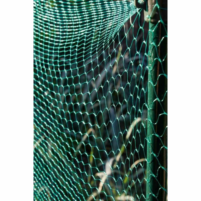 Garden Netting  Rot Proof Protective Net 3m x 2m   15mm mesh  from Gardening Requisites 4.95