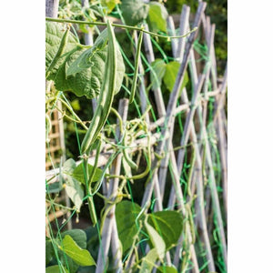 Pea & Bean Net Green 4m x 2m Netting Support For Peas, Runner Beans, etc  from Gardening Requisites 4.99